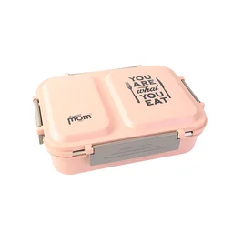 Stainless Steel Lunch Box – 2 Partition Leak-Proof Tiffin