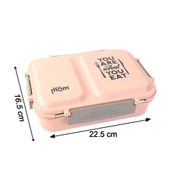 Stainless Steel Lunch Box – 2 Partition Leak-Proof Tiffin