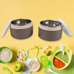 Stainless Steel Lunch Box – 2-Layer Leak-Proof for Office & School | Ganesh
