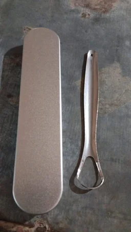 Stainless Steel Tongue Scraper – Oral Hygiene Tool with Case | MintGuard