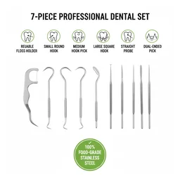 Stainless Steel Toothpick Set – 7-in-1 Portable Dental Kit | AuriGlam