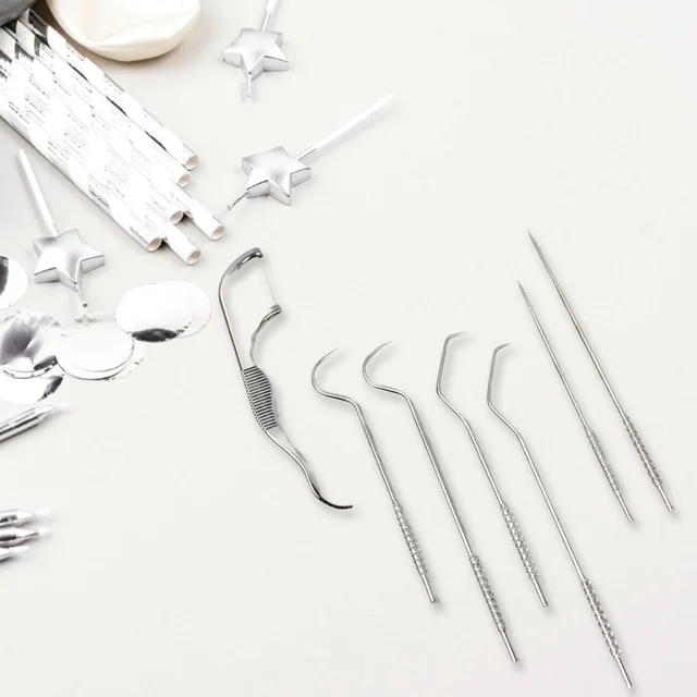 Stainless Steel Toothpick Set – 7-in-1 Portable Dental Kit | AuriGlam
