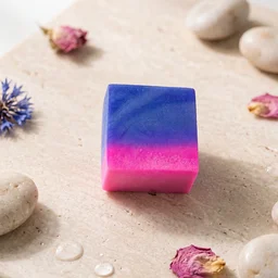 Toilet Bowl Cleaning Block – Dual Colour Flush Tank Cleaner