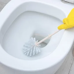 Toilet Brush with Holder – Western & Indian Toilets | Bathora