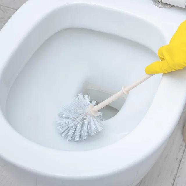 Toilet Brush with Holder – Western & Indian Toilets | Bathora