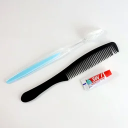 Travel Hygiene Kit – Compact 3-in-1 Toothbrush, Toothpaste & Comb