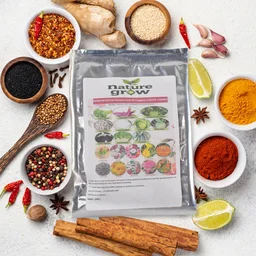 Vegetable & Flower Seeds Combo – 20 Varieties for Home Garden