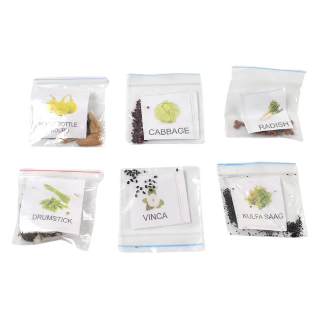 Vegetable & Flower Seeds Combo – 20 Varieties for Home Garden