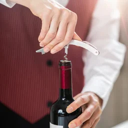 Wine Accessory Gift Set – 4-in-1 Stainless Steel Bar Tools