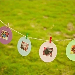 Wooden Cloth Pegs – Small Multipurpose Clips (50 Pcs) | Indo Glow