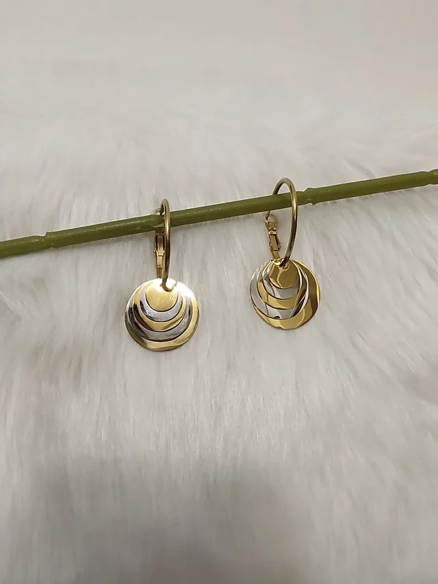 Silver Golden Circle In Circle Drop Earrings