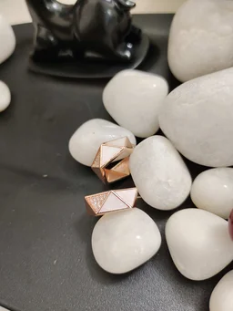 Rose Gold Tiny Hoops- Earrings