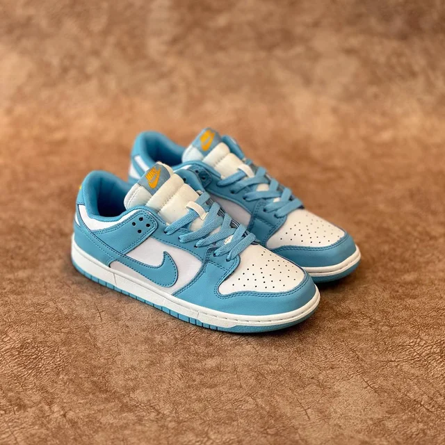 Nike Dunk Low Coast