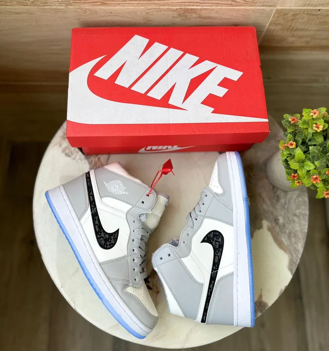 Jordans Retro 1 Dior Mid Ankle 