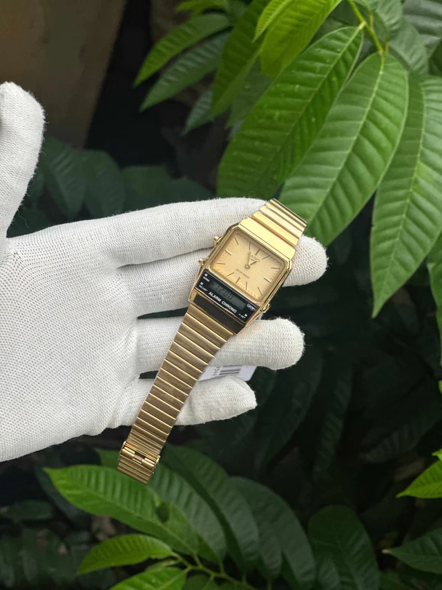 Casio Dual Model
