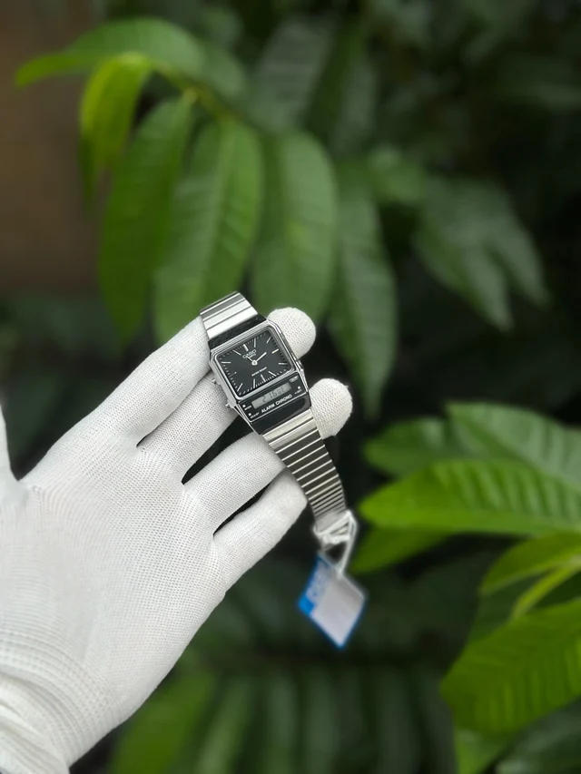 Casio Dual Model