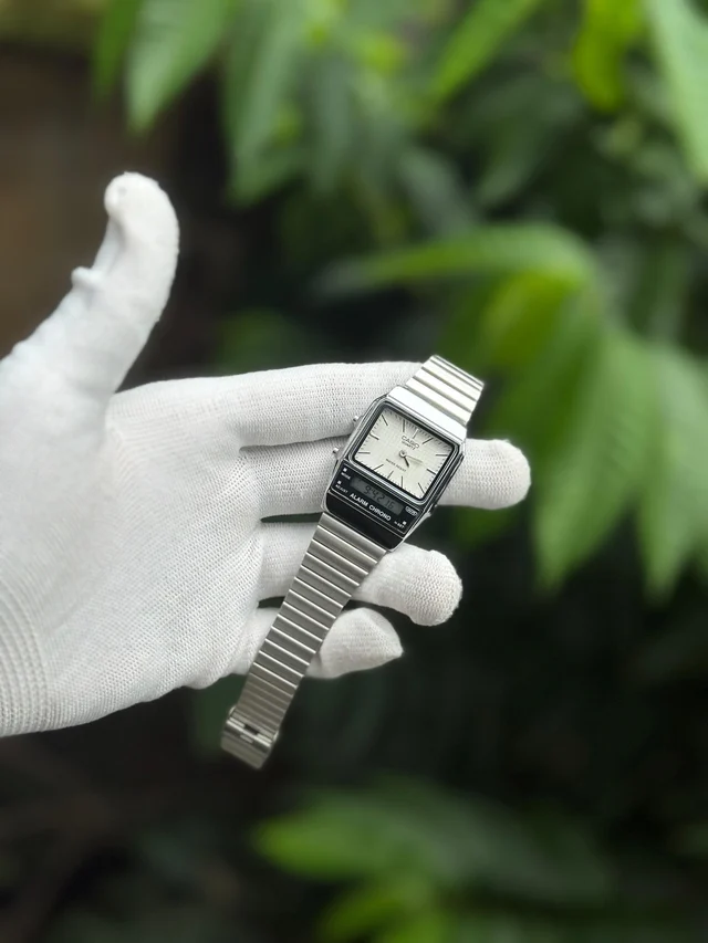 Casio Dual Model