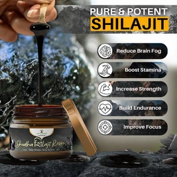 Shudh Shilajit Resin - 1
