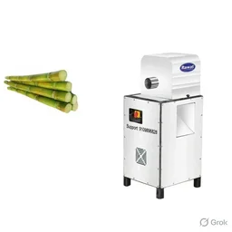 Commercial Sugarcane Cleaning Machine | Rawat Impex