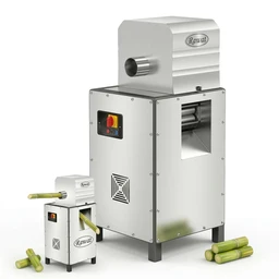 Commercial Sugarcane Cleaning Machine | Rawat Impex