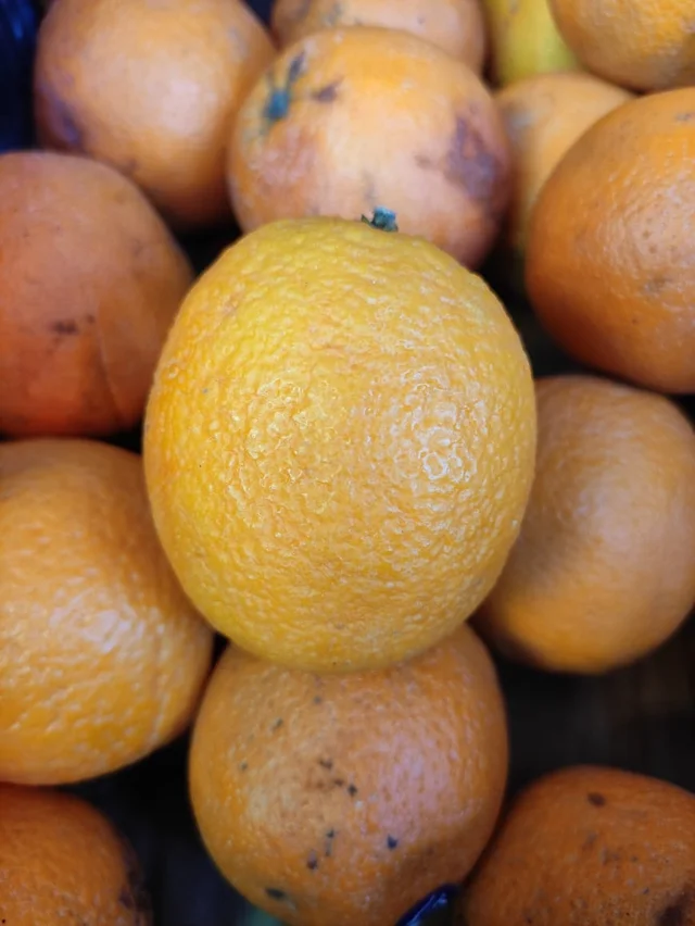 Malta Orange - 1Kg