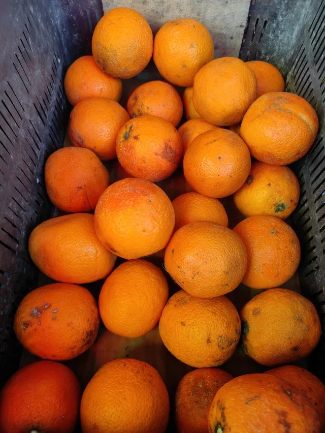 Malta Orange - 1Kg