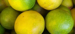 Fresh Mosambi (Lucknow) - 500g