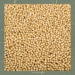 Jowar Flour | Sorghum | 1kg - 1 kg