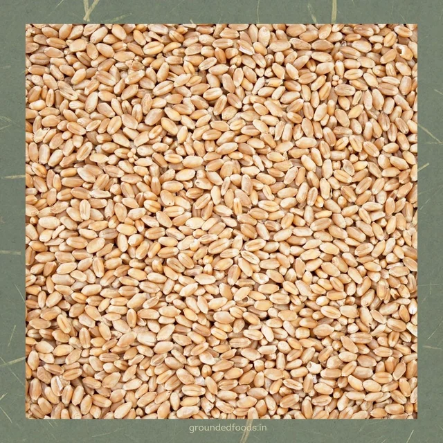 Lokwan Wheat Flour 10kg - 10 kg, Fine