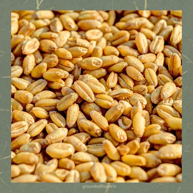 Sharbati Wheat Flour - Sihore Premium 10kg - 10 kg, Roti Coarse