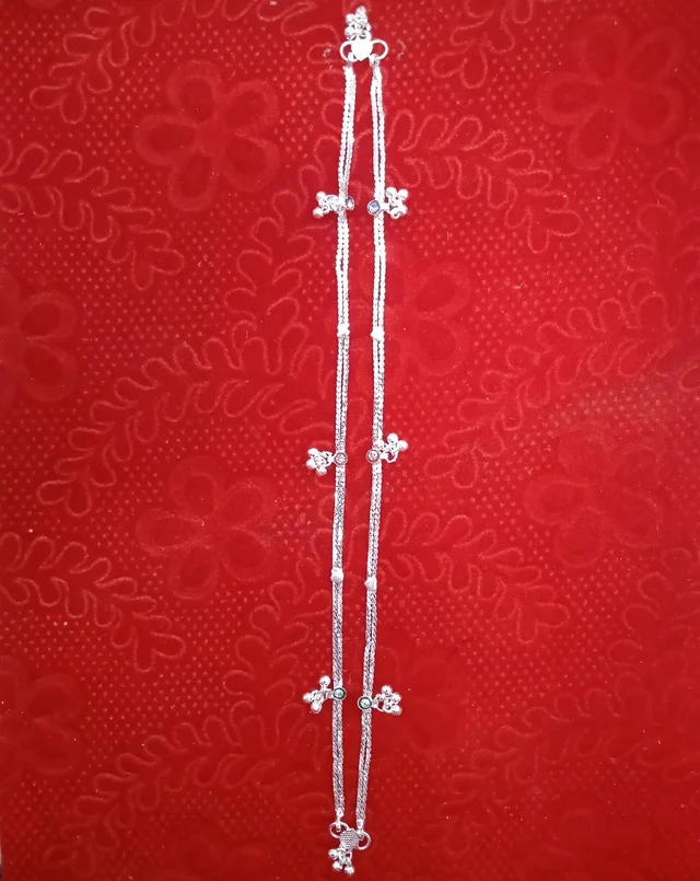 Payal 11 Inch S1V