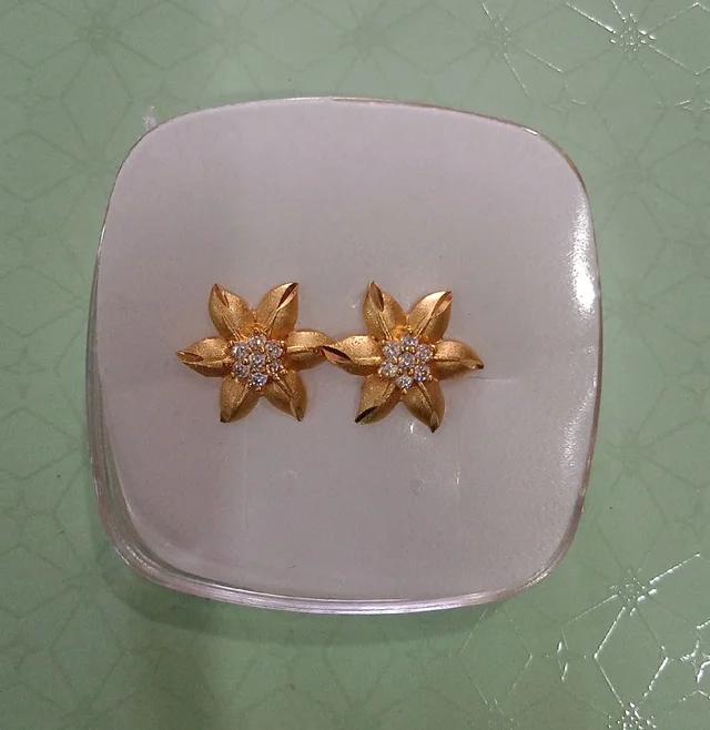 1gram Earring P2d