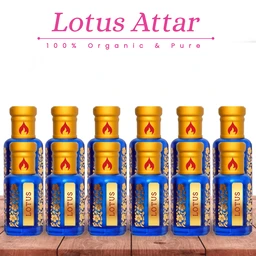 Lotus Nectar: Twilight Bloom 10 ML x 12 PCS - 10 ML x 12 PCS, 120ML
