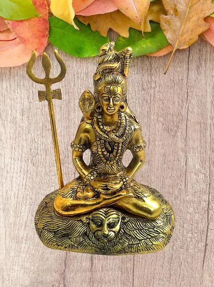 PJH Shiva