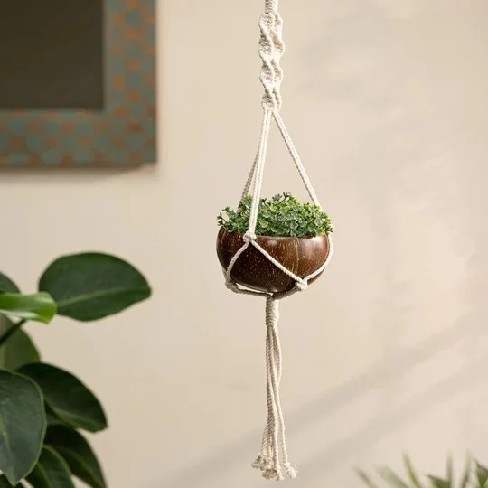 Plant Hanger - Coconut shell macrame plant hanger for Indoor & balcony