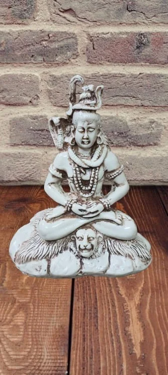 PJH Shiva