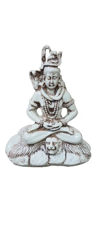 PJH Shiva