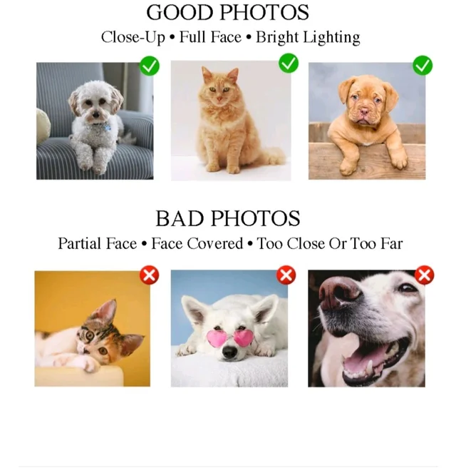Personalized Pet Photo Acrylic Keychain -