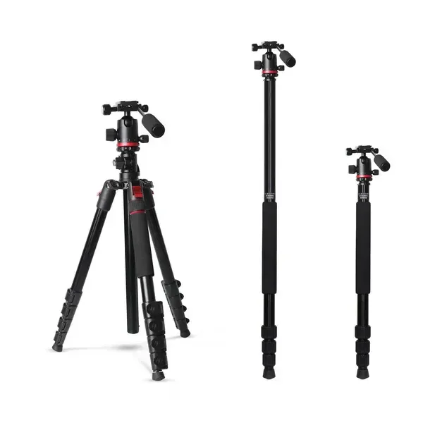 Digitek DTR 530 BH Tripod Cum Monopod for DSLR & Camera | 5.44ft Max Height, 5kg Load, Ball Head, Quick Release Plate, 5-Section Legs | Perfect for Macro & Video Shoots