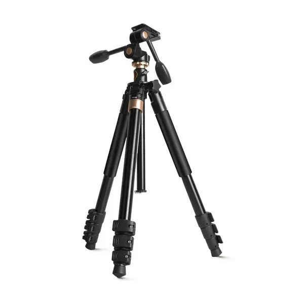 Digitek (DTR 620 BH) 6ft Multi-Angle DV Tripod Cum Monopod | 20kg Load, 3-Way Pan & Tilt Head, Central Column, 4-Section Adjustable Legs, Quick Release & Flip Lock for DSLR & Video Cameras