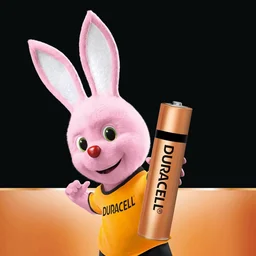 Duracell Alkaline AAA Batteries, | Royal Stationers Best Quality Guarantee
