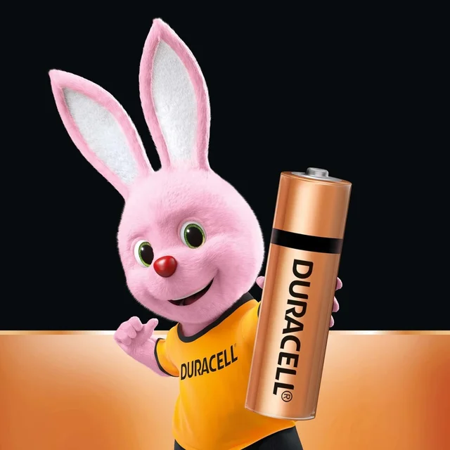 Duracell Alkaline AA Batteries | Royal Stationers Best Quality Guarantee