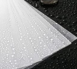 L-Type Plastic Folder Safe Project Document Folder A4 Plastic Paper Jacket Sleeves Project Folders | Royal Stationers Best Quality Guarantee