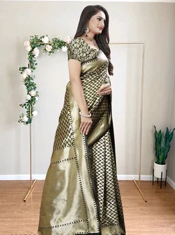 Fabulous Sarees 78