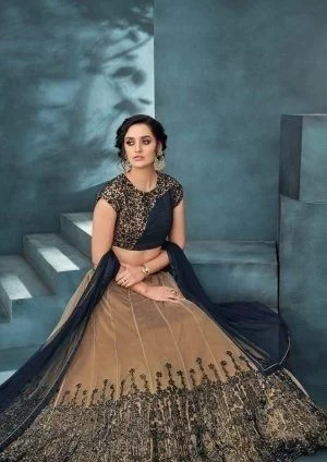 Fanct New Stylish Lehengha 173