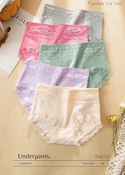 Shah Emporium Luxury Women's Lace Panties - Multicolors