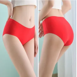 Shah Emporium Seamless Ice Silk Panties - Multicolors