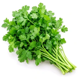 Coriander Leaf 🌿 (ଧନିଆ ପତ୍ର) Approx 50g