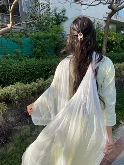 Suroor Chikankari Cheffon Charidar Dupatta