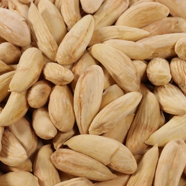 Afghani Almonds High Oil Content Sweet In Tasye